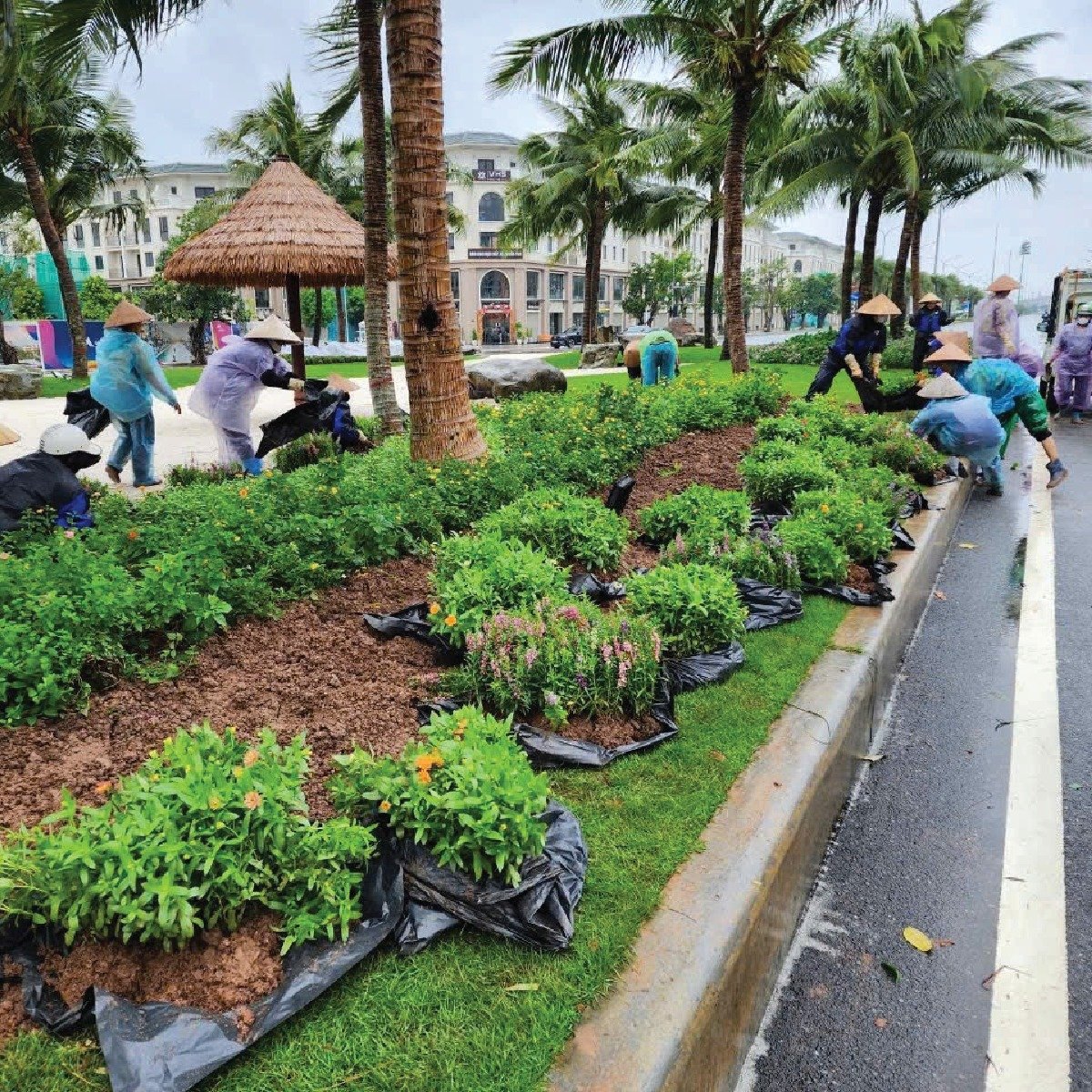 ocean city khắc phục hậu quả bão Yagi 9.jpg